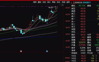 焦点科技股票,投资价值与未来发展潜力解析