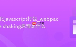 如何优化javascript打包_webpack的tree shaking原理是什么