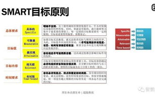 疯狂72小时，工作效率提升策略解析