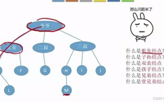我的朋友5,社交圈层构建-搜索引擎优化策略解析