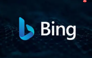bing国际版网页版在线链接 bing国际版网页浏览器快速使用