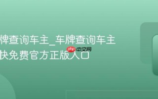在线车牌查询车主_车牌查询车主在线最快免费官方正版入口