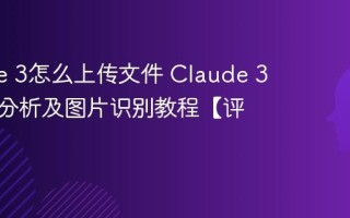Claude 3怎么上传文件 Claude 3长文档分析及图片识别教程【评测】