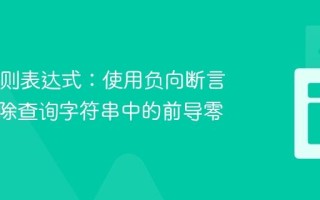 Java正则表达式：使用负向断言安全移除查询字符串中的前导零