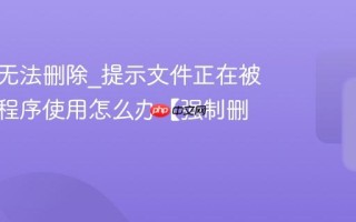 文件夹无法删除_提示文件正在被另一个程序使用怎么办【强制删除】