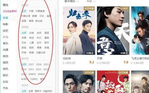 电视电视剧大全剧免费观看指南-精选资源与观看策略