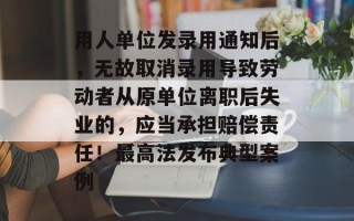 用人单位发录用通知后，无故取消录用导致劳动者从原单位离职后失业的，应当承担赔偿责任！最高法发布典型案例