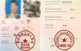足球教练资格证考取流程详解-成为专业教练的第一步