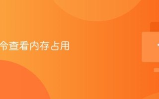 电脑指令查看内存占用