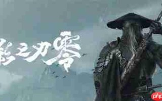 雨血腥风！ 《影之刃零》发布游戏截图