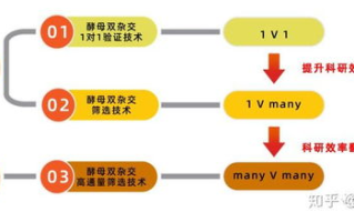 足球比赛实时数据提供,提升观赛体验与战术分析-技术解析与应用