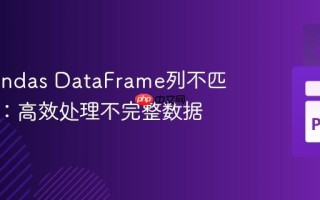 解决Pandas DataFrame列不匹配错误：高效处理不完整数据