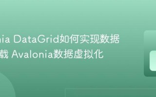 Avalonia DataGrid如何实现数据的懒加载 Avalonia数据虚拟化