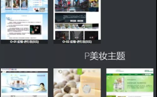 成品PPT网站大片入口，提升演示文稿的专业度-功能与使用技巧解析