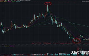 蓝思科技股票投资分析-市场表现与未来展望