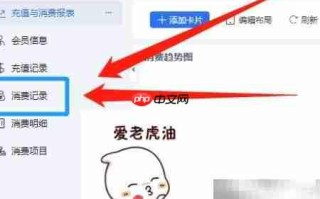 WPS会员消费记录导出方法
