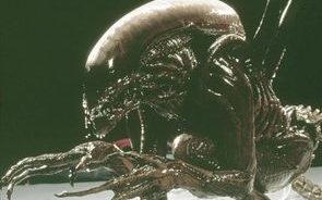 异形大战铁血战士：宇宙顶级猎手巅峰对决解析