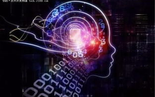 协和影视网：2025年在线视频平台风云再起？