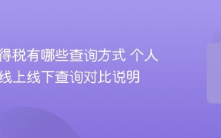 个人所得税有哪些查询方式 个人所得税线上线下查询对比说明