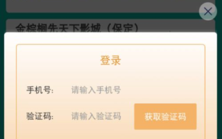 最新电影在线观看2020年，合法途径与观影指南-解决方案解析