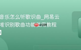 网易云音乐怎么听歌识曲_网易云音乐精准识别歌曲功能使用教程【技巧】