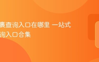 国际包裹查询入口在哪里 一站式物流查询入口合集