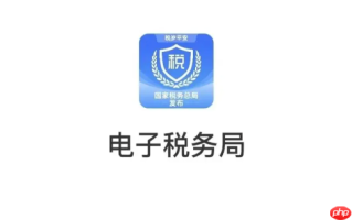电子税务局怎么申报个税 电子税务局年度汇算清缴申报方法
