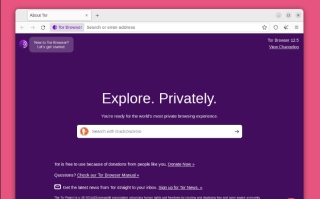 洋葱浏览器如何禁用JavaScript_全面提升洋葱浏览器安全性的脚本禁用设置