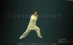 太极拳24式慢动作视频教程-动作解析与学习技巧