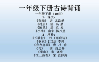 2014年《非诚勿扰》全集正版获取指南-观看与收藏建议