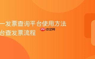 全国统一发票查询平台使用方法 官方平台查发票流程