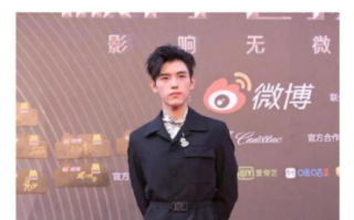 陈飞宇主演电视剧盘点，精彩角色与演技解析