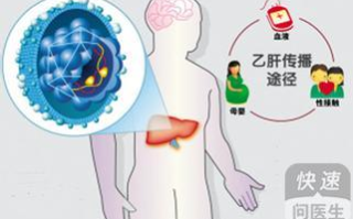 乙肝传播途径与预防策略-深入了解乙型肝炎病毒传播