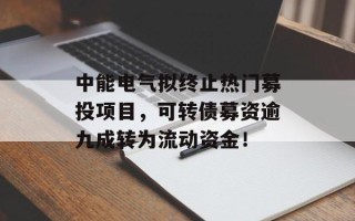 中能电气拟终止热门募投项目，可转债募资逾九成转为流动资金！