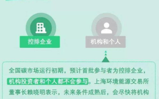生态区块链：如何引领绿色可持续发展新潮流？