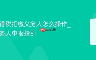 个人所得税扣缴义务人怎么操作_扣缴义务人申报指引