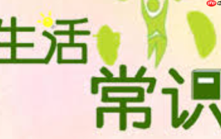 家里老鼠太多怎么快速灭绝_老鼠夹+花生酱诱饵一晚抓10只方法