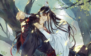 魔道祖师广播剧免费听全集，修仙世界的声音盛宴