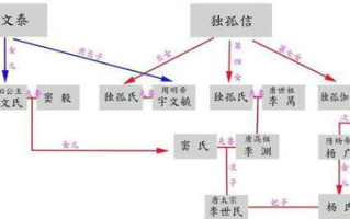 恋爱先生,现代都市情感剧-剧情深度解析