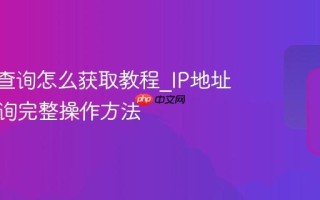 IP地址查询怎么获取教程_IP地址在线查询完整操作方法