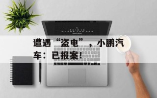 遭遇“盗电”，小鹏汽车：已报案！