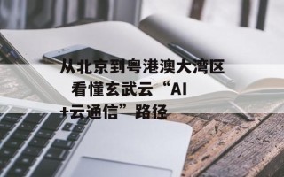 从北京到粤港澳大湾区  看懂玄武云“AI+云通信”路径