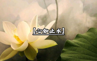 简单快乐的心态句子，点亮心灵的光芒-情绪提升秘籍