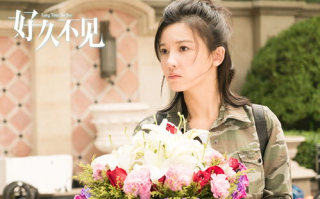 致青春电影演员表及角色解析-青春记忆的永恒篇章