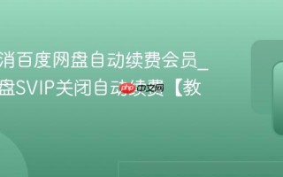 怎么取消百度网盘自动续费会员_百度网盘SVIP关闭自动续费【教程】
