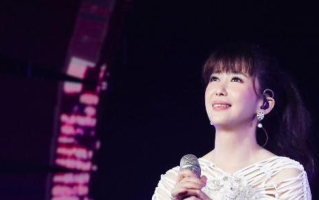 揭秘音乐才子孟庭苇：个人资料与音乐生涯一览