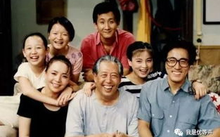 收视率最高的二十部电视剧,盘点那些年的爆款剧集-娱乐指南