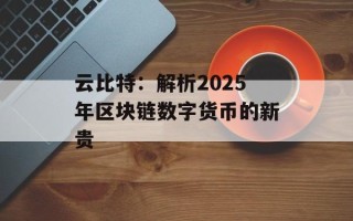 云比特：解析2025年区块链数字货币的新贵