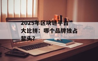 2025年区块链平台大比拼：哪个品牌独占鳌头？