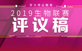 足球首发阵容公布时间解析-比赛准备与信息透明度
